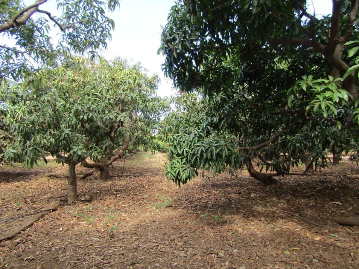 On An Organic Farm By The Coast,