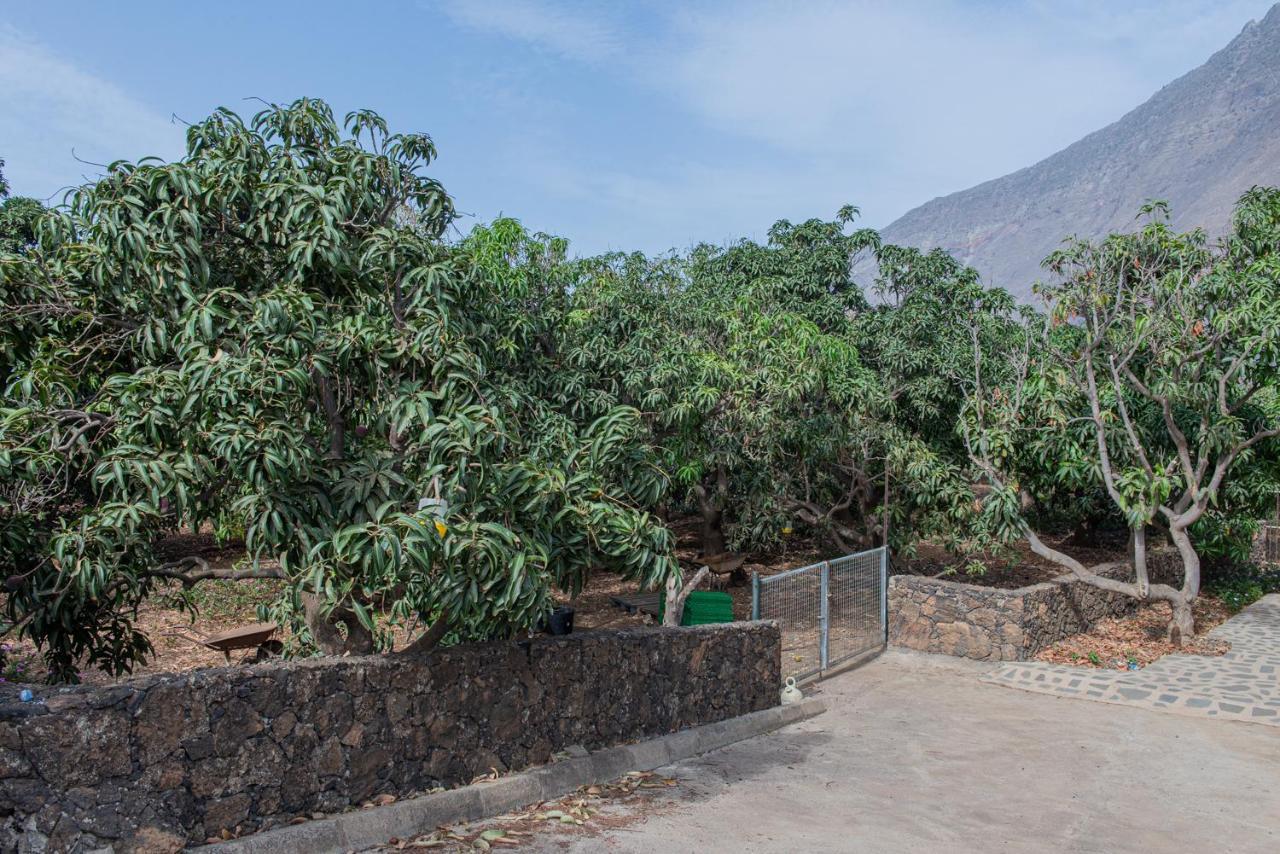 Large On A Tranquil Organic Farm *