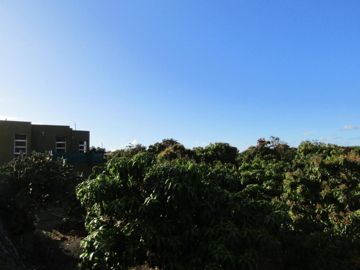 Large On A Tranquil Organic Farm Frontera