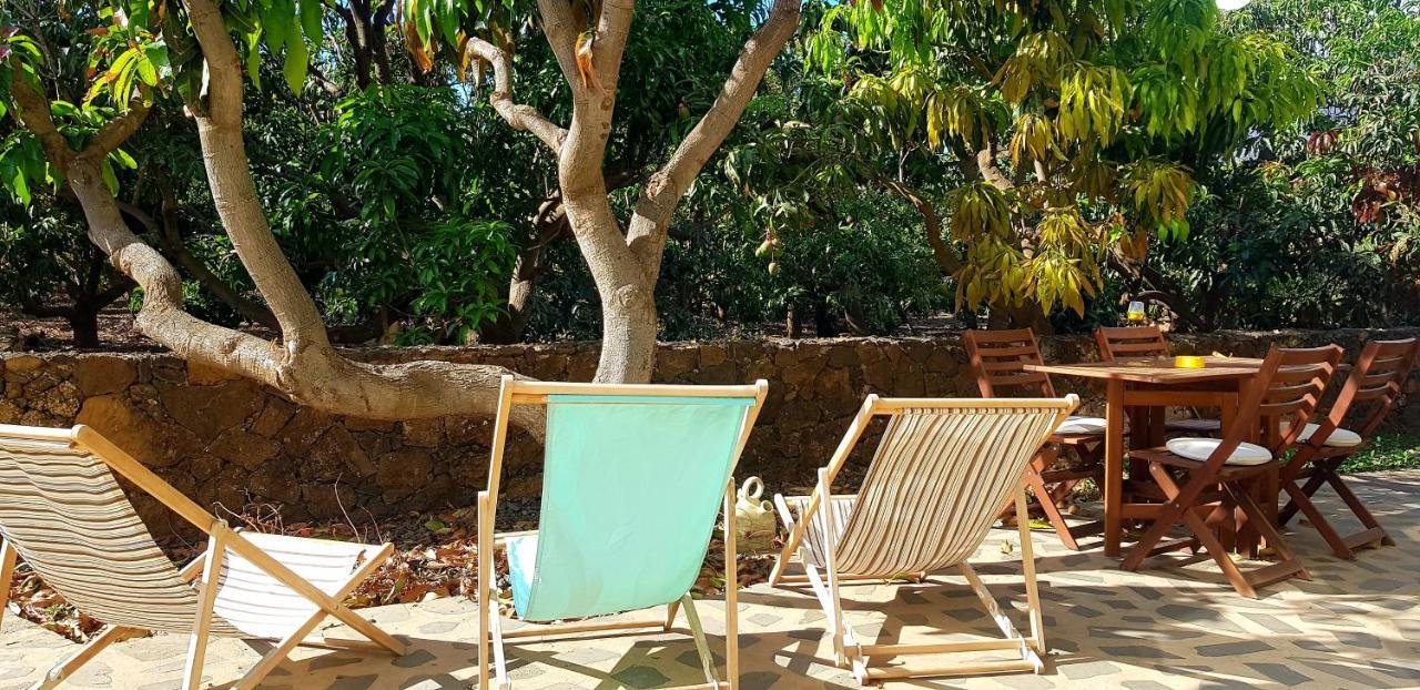 Large On A Tranquil Organic Farm Frontera
